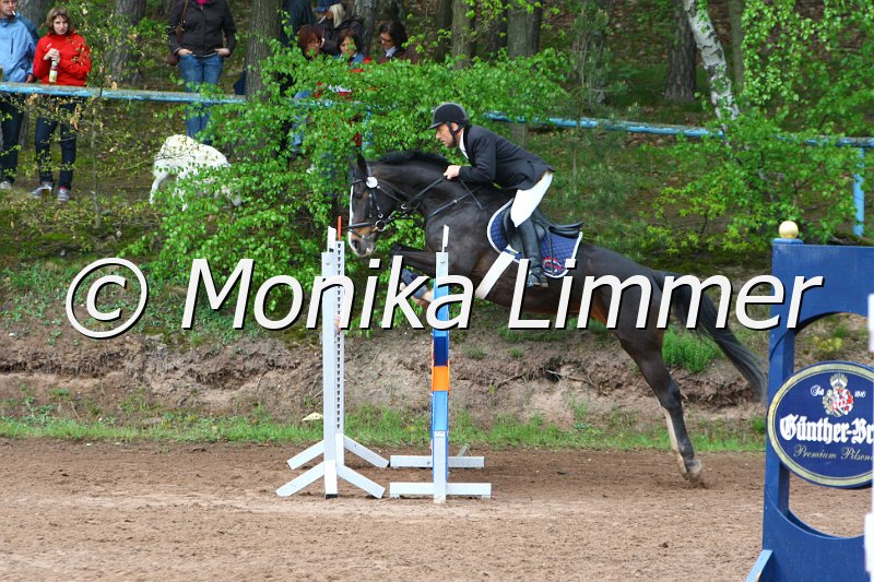 005L5354_El Ninio_Spring M mit Stechen.JPG